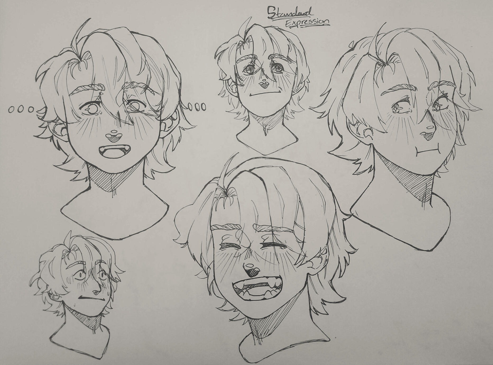 Nano expression sheet